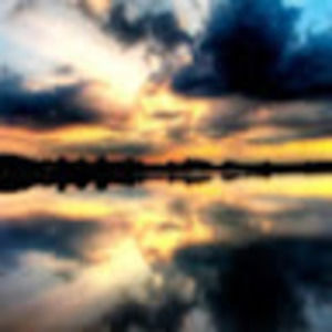 Meet your Posher, Cinnamon